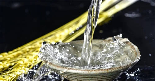 2023白酒一瓶多少钱种类及价格表汇总 2023白酒一瓶多少钱种类及价格表汇总