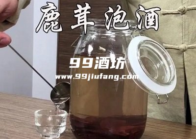 10斤白酒泡多少克鹿茸