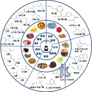 白酒中风味物质的形成过程？