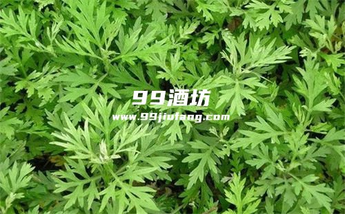 艾草石菖蒲白酒治鼻炎吗