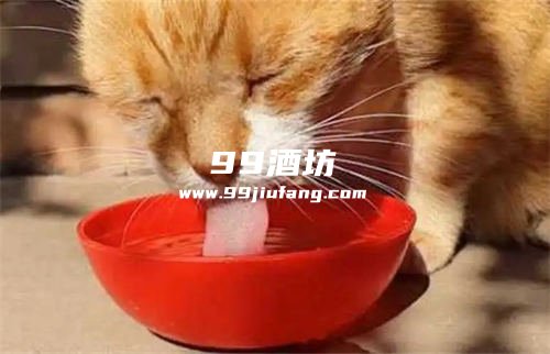 白酒可以给猫咪解毒吗