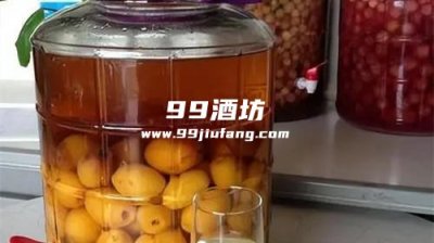 自酿酒放什么水果更好喝