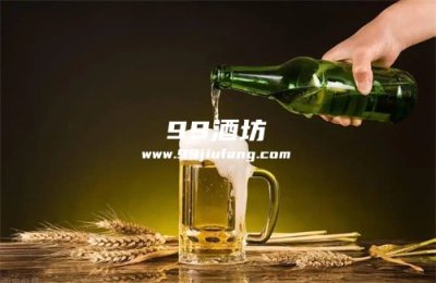 啤酒可以替代白酒吗