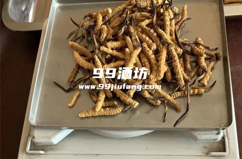 喝了白酒可以吃新鲜虫草吗